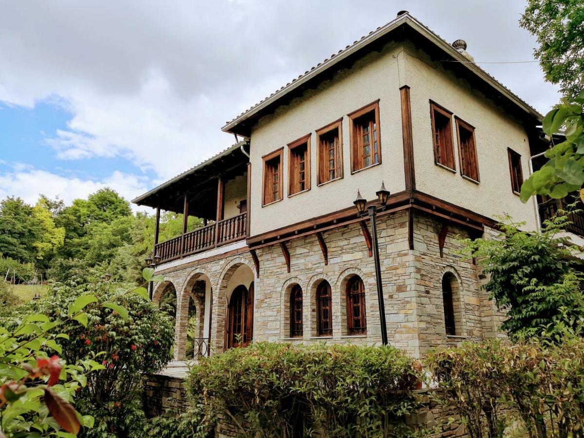 Zenios Dionysos - Traditional Villa Grevena Buitenkant foto
